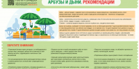 Роспотребнадзор рекомендует, как выбрать арбузы и дыни! - Волховский район