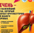 Неделя профилактики заболеваний печени: бережём важнейший орган! - Управление соцзащиты населения