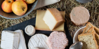 Ленинградских производителей приглашают представить свою продукцию на фестивале «Вкусы России» - Online47.Ru