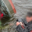 cherinfo.ru - Cher-Poisk.Ru