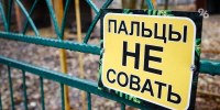 В Москву доставили брошенную в Северной Осетии маленькую медведицу - ИА Победа 26