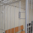 Мужчина получил девять лет  строгача  за убийство брата в Сарове - фото 1 - vGorodeN.Ru