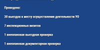 О результатах контрольной (надзорной) деятельности ГЖИ Воронежской области за период с 20 по 24 июля 2026 года - Государственная жилищная инспекция