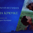 Более 9200 человек посетили псковский кинофестиваль «Западные ворота-2026» - Pln-Pskov.Ru
