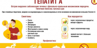 Профилактика гепатита А. - Чагодощенский муниципальный округ
