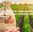 Объявление об отборе Шифр: 26-902-R5012-2-0874 Субсидия на поддержку приоритетных направлений агропромышленного комплекса на финансовое обеспечение части затрат на поддержку элитного семеноводства - Администрация Сальского района