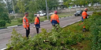 Городские службы продолжают устранять последствия урагана - Город Бор