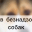 Отлов животных - Кыштовский район
