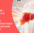 Берегите печень: стартует Неделя профилактики заболеваний печени!. - Череповецкий район