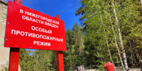Министерство лесного хозяйства и охраны объектов животного мира Нижегородской области призывает жителей региона строго соблюдать правила пожарной безопасности - Газета Районный вестник