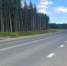 Автомобиль сбил 73-летнюю пенсионерку в Пряжинском районе - StolicaOnego.Ru