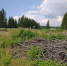 photo_2026-07-27_13-51-06 - Revda-Info.Ru