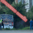 Водитель умер за рулем автобуса в Мурино - 47 новостей