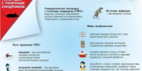 ГЛПС – тяжелое вирусное природно-очаговое инфекционное заболевание, характеризующееся поражением кровеносных сосудов и почек. - Бурзянский район