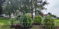 На въезде во Владимир появится необычная композиция из туй в форме церковных куполов - PRO Город Владимир