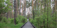 30 - Известия Мордовии