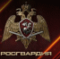 Ключевые события Росгвардии: итоги недели с 20 июля по 26 июля - Росгвардия