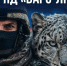 Отряд «БАРС-ЛНР» приглашает на службу. - Город Ровеньки