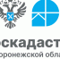 Воронежский Роскадастр расскажет о консультационных услугах. - Калачеевский район