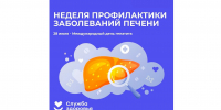 На Вологодчине стартовала Неделя профилактики заболеваний печени - Вологда.РФ