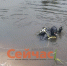 Тело мужчины обнаружили на Узоле в Нижегородской области - ИА Нижний сейчас