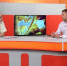 Видео - ТВН