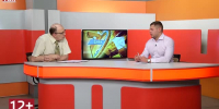 Видео - ТВН