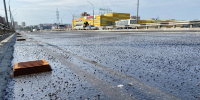 Фото здесь и далее из канала Бориса Елкина в MAX - InformPskov.Ru