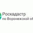 13 августа 2026 года с 10:00 до 12:00 региональный Роскадастр проведет горячую линию о консультационных услугах. - Петропавловский муниципальный район