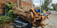 Чудо на Ульяновской: ростовчанин с дочерью избежали гибели под рухнувшим деревом, но лишились единственного источника дохода - Ростов161