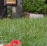 OOvSRyXaW4NDCrZh7SGn8Cbzkw5FR5te19hZJM8reI_YUGSyFFK_3gGsRUsfLOf3pd7-1jeifxWxlcfW3cti2gaD - Рязанские ведомости