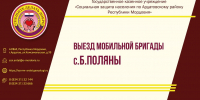 Выезд мобильной бригады в с.Б.Поляны - Соцзащита населения по Ардатовскому району