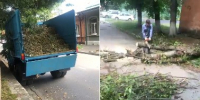 С раннего утра коммунальные службы Владикавказа работают по устранению последствий сильного ветра. - Администрация г. Владикавказ