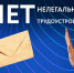 Администрация Бердянского городского округа продолжает работу по легализации трудовых отношений, направленную на защиту прав работников, обеспечение справедливых условий конкуренции и пополнение бюджета за счёт уплаты налогов и страховых взносов.. - Городской округ Бердянск
