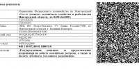О приеме заявлений на получение разрешений на добычу лося, медведя, косули, барсука, выдры, рыси - Правительство Новгородской области