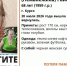 Курские волонтеры собираются на повторные поиски пропавшей 68-летней женщины - Курские Известия