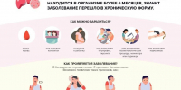virusnae gepatity 02 - ГКБ им. М.П. Кончаловского