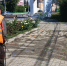 В Курске продолжают бороться с сорняками, произрастающими на тротуарной плитке. - Город Курск