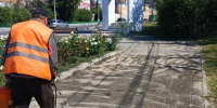 В Курске продолжают бороться с сорняками, произрастающими на тротуарной плитке. - Город Курск