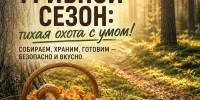 Грибной сезон: как собирать, хранить и готовить грибы безопасно - Альметьевск РТВ