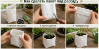 Пакеты из-под кофе и молока не выбрасываю: вот как использую их дома, чтобы сэкономить деньги по весне - Pro Город Ухта