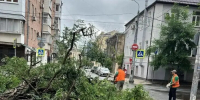 Ураган в Ростовской области повредил кровли 110 многоквартирных домов - M24.Ru