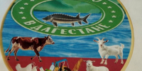 Выдано боле 70 сертификатов знака «Дагестанский продукт» - Новое дело