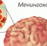 Менингококковая инфекция. - Нижнеингашский район
