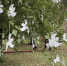 Фото: https://pnzreg.ru - Penza-Post.Ru