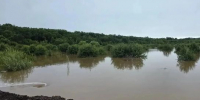 Вода вышла на дорогу у села Хитровка в Приамурье - ИА Порт Амур