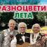 Концерт «Разноцветие лета»: романсы и душевные песни в Библиотеке городских историй (6+) - Информационно-библиотечная система