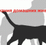 ПАМЯТКА  о  требованиях и правилах по содержанию домашних животных. - Петуховский муниципальный округ