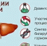 Врачи Хакасии о функциях печени и её роли в организме - Минздрав Республики Хакасия