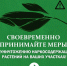 Барнаульцам напоминают об ответственности за выращивание наркосодержащих растений - Администрация г. Барнаул